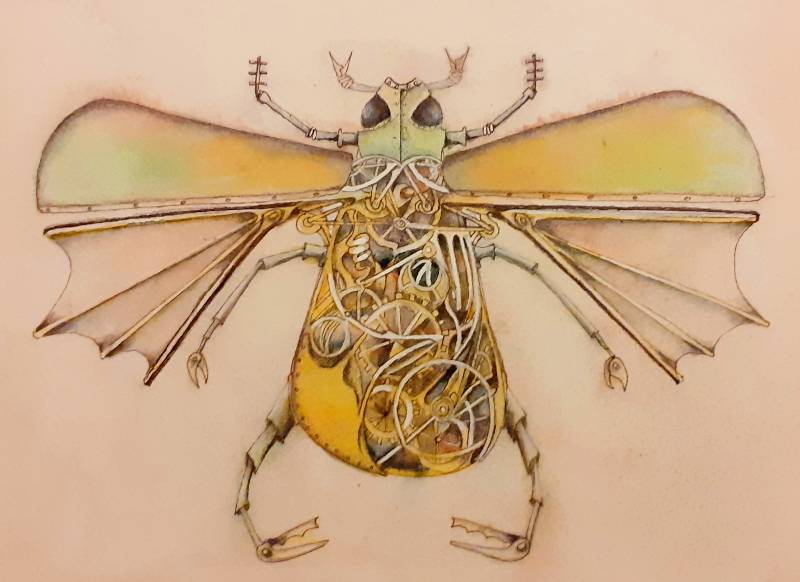 beetle by Juliapinksocks (Pencil, Watercolor, Pen, Ink)