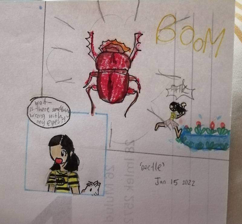 beetle by EmilyYael (Pencil, Watercolor, Pen, Markers, Colored pencil, Oil pastel)
