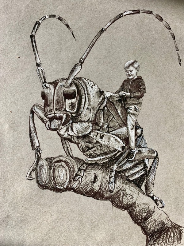 beetle by pgpappy (Ink, Digital)
