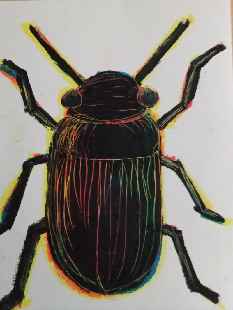 beetle by melonhead (Pencil, Oil pastel, Other)