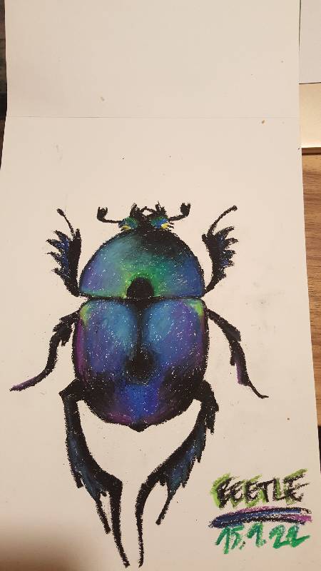 beetle by ZuzaKK (Oil pastel)