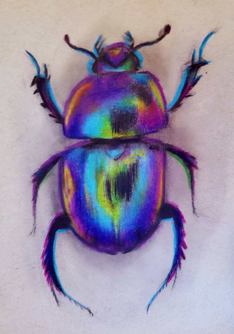 beetle by LizHaertArt (Pen, Markers, Colored pencil)