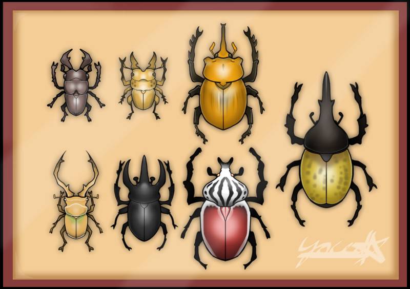 beetle by Cedster (Digital)