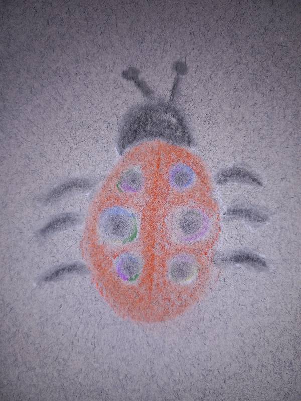 beetle by MBrooks (Soft pastel)