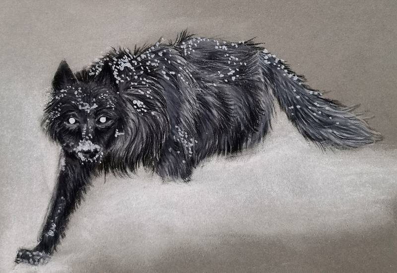 winter by HuntressMorkai (Colored pencil, Charcoal)