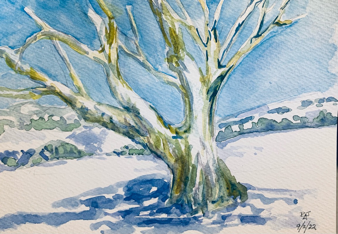 winter by fairlawnbj (Watercolor)