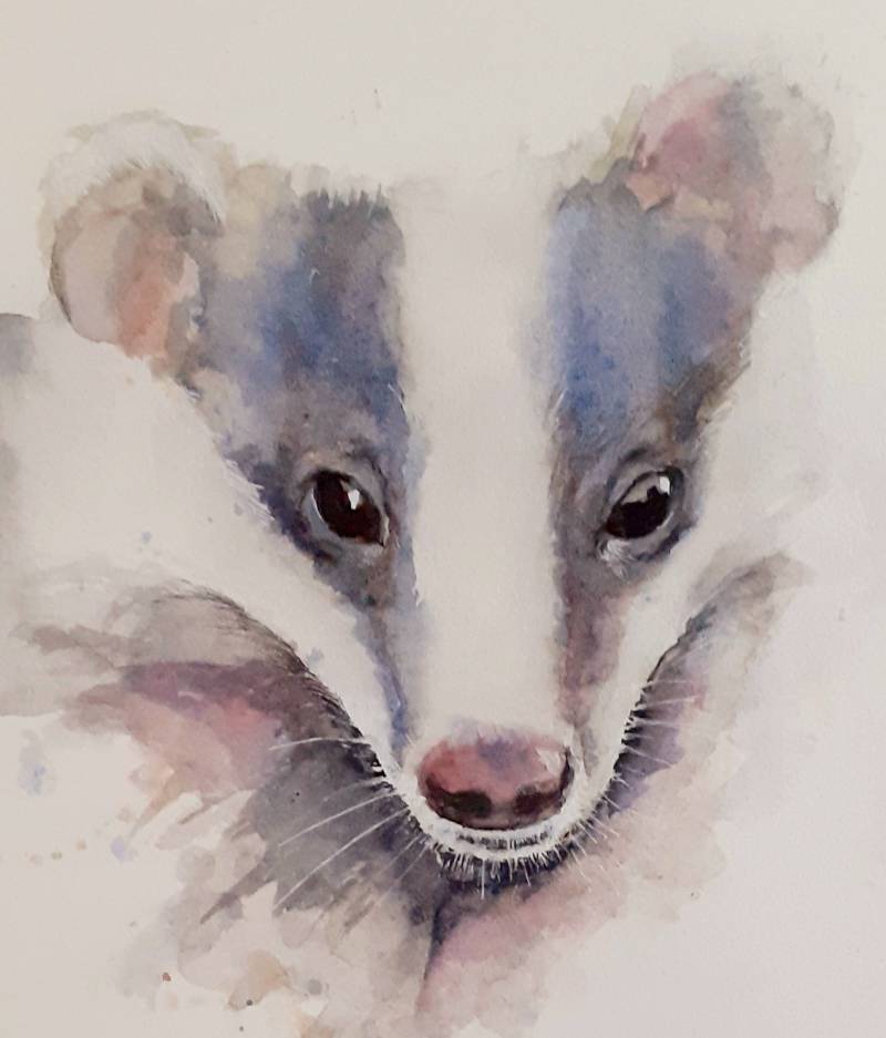 badger by Juliapinksocks (Watercolor, Pen, Ink)