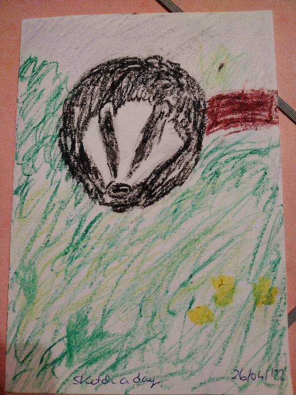 badger by CottonPearl (Pencil, Oil pastel)