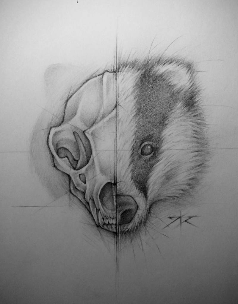 badger by Joshabro (Pencil)