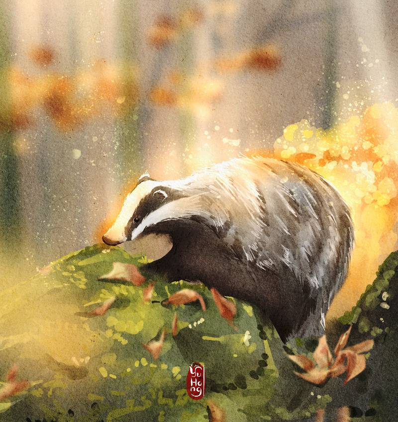 badger by YuHong (Digital)