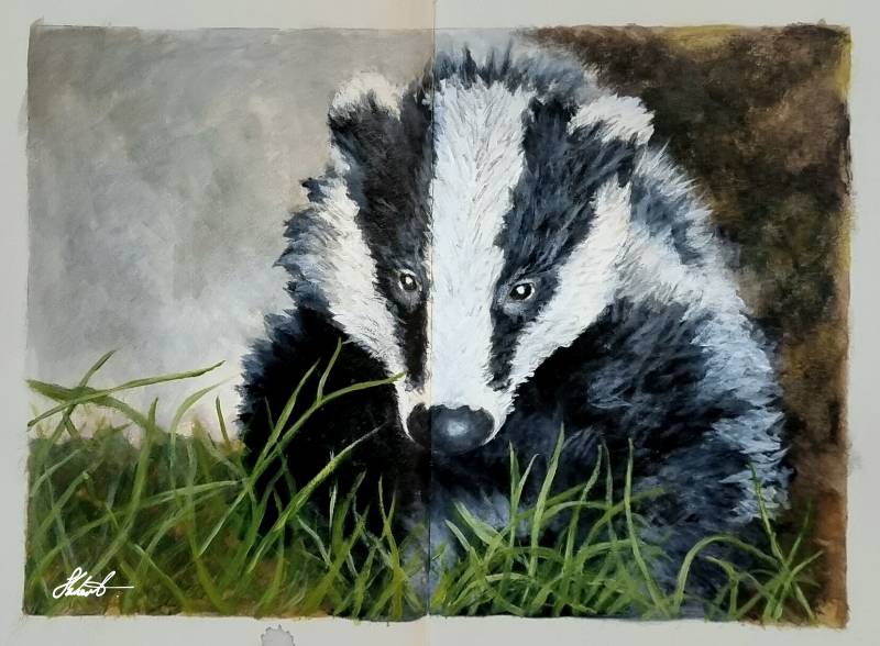 badger by Jesseeker44 (Acrylic paint)