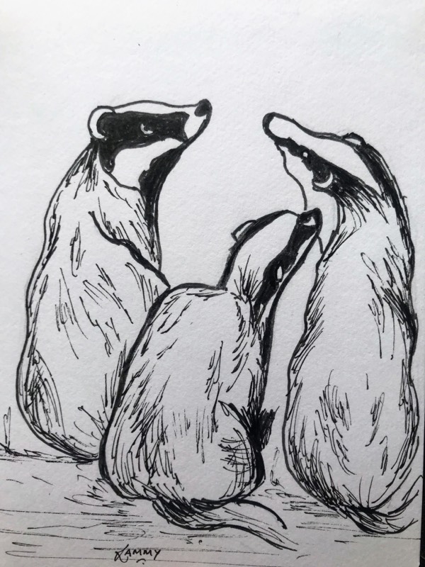 badger by RammyArtworks (Pen, Ink)