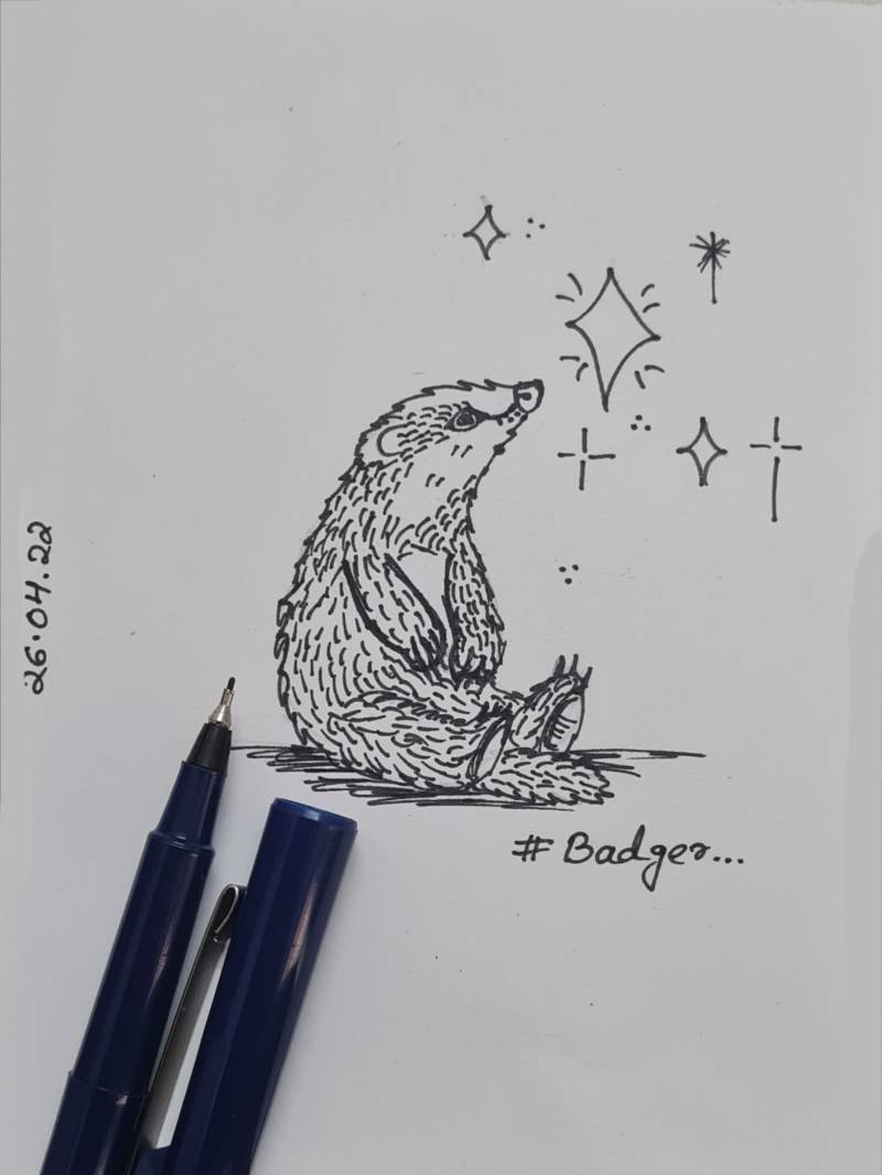 badger by Fiona06 (Pen, Pencil)