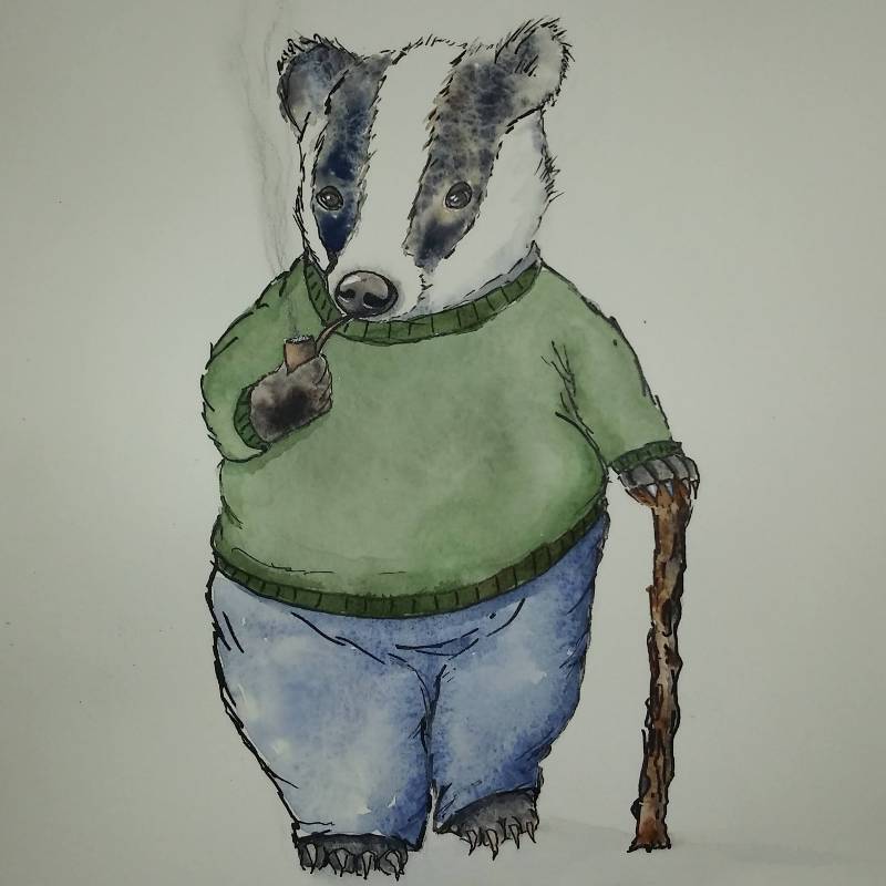 badger by Carolann (Watercolor, Pen, Ink)