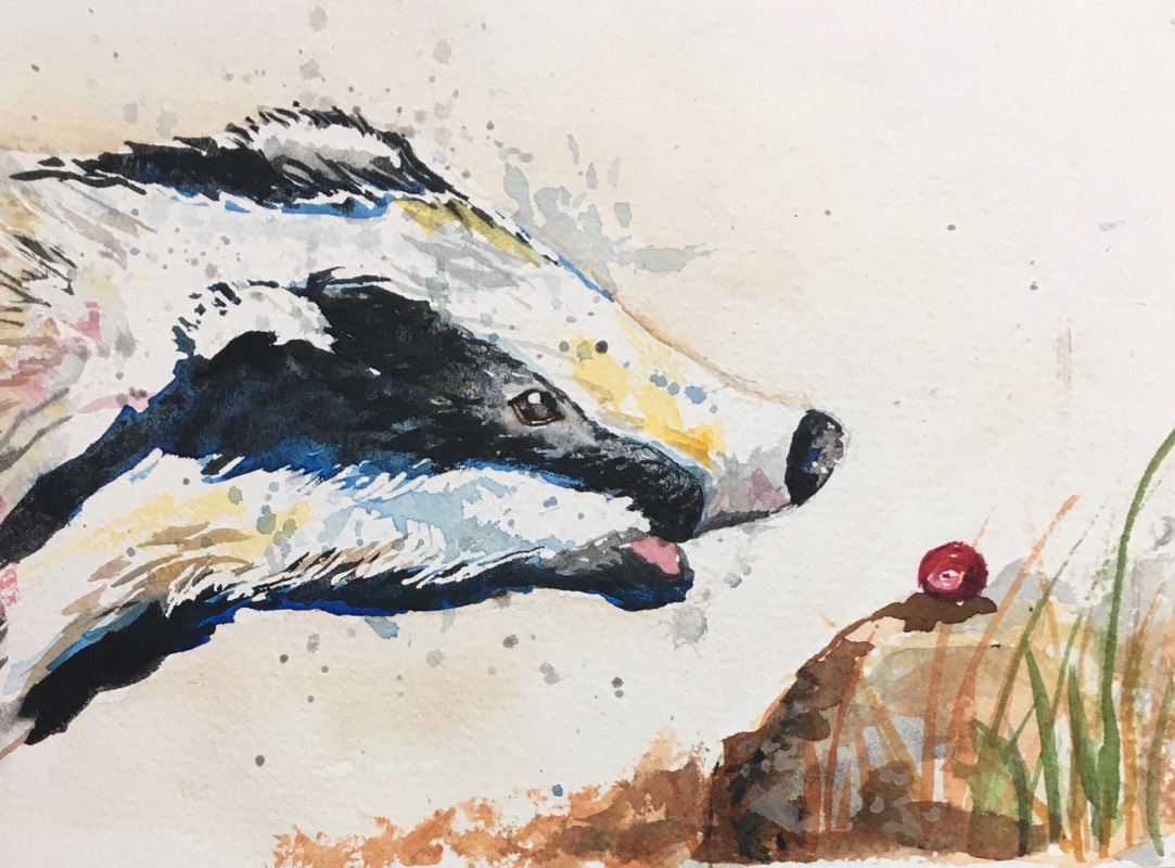 badger by Breelily (Watercolor)