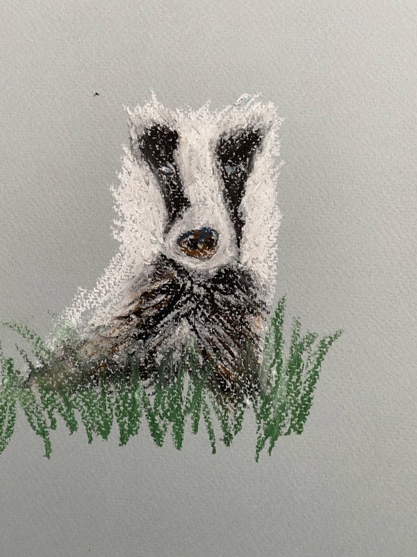 badger by rhonakesson (Oil pastel)