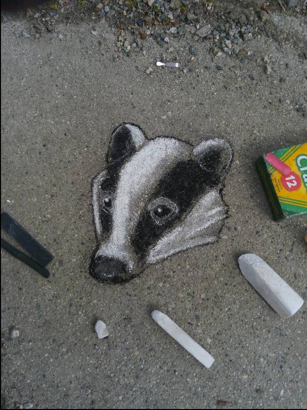 badger by mikrook (Charcoal, Soft pastel, Other)