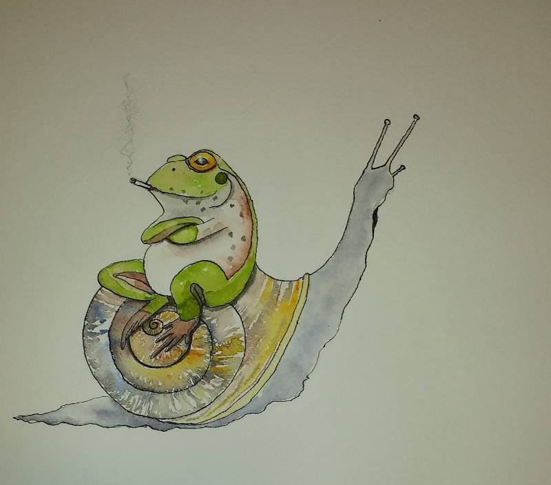 amphibian by Carolann (Watercolor, Pen, Ink)