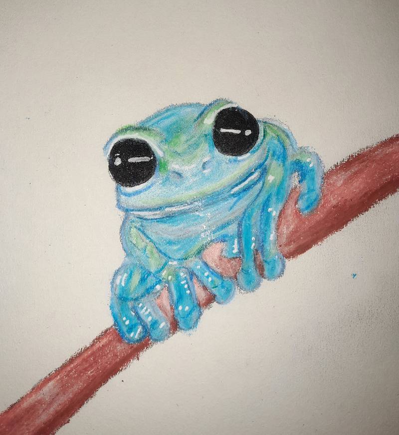 amphibian by sugarbunny (Pencil, Pen, Ink, Colored pencil)