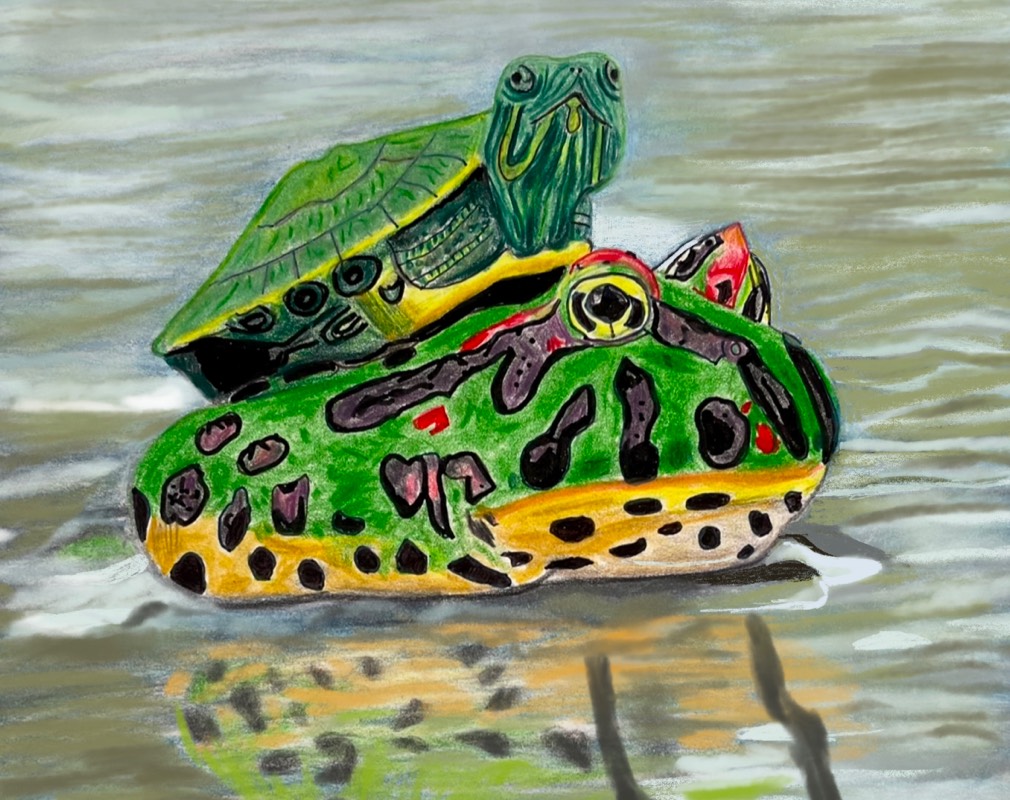 amphibian by TinaB (Pencil, Pen, Colored pencil, Digital)
