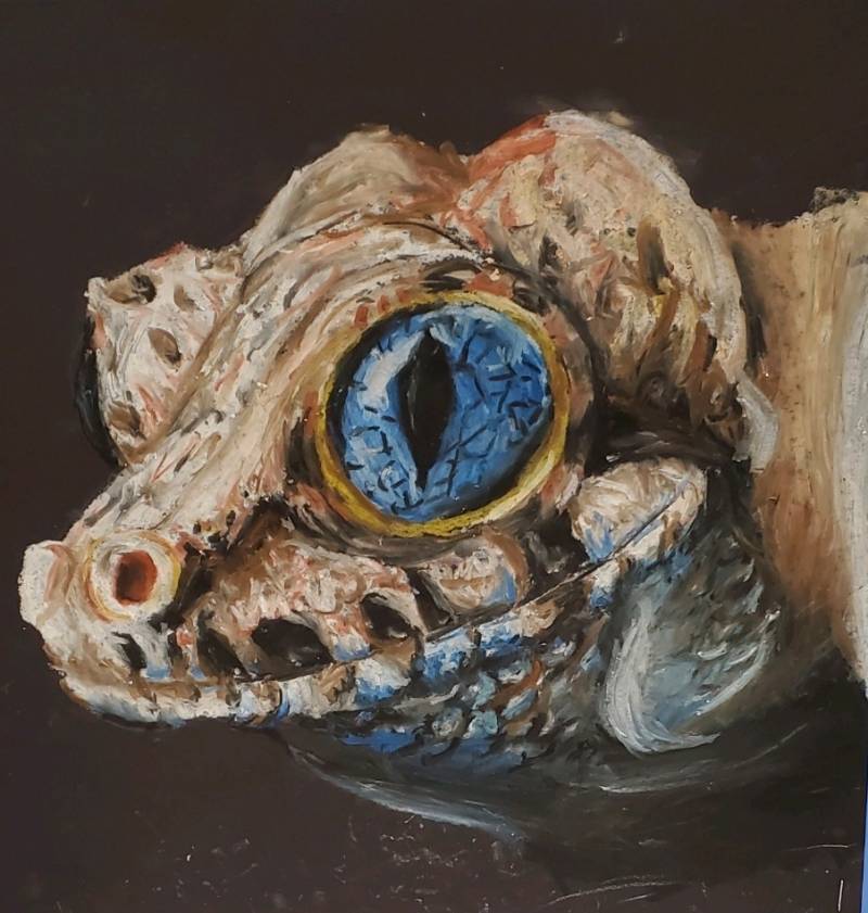 amphibian by riveri (Oil pastel)