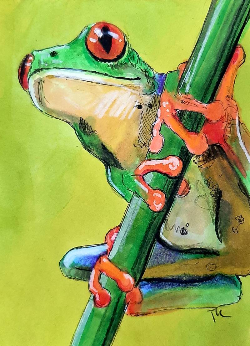 amphibian by tamileexyz (Colored pencil, Markers)