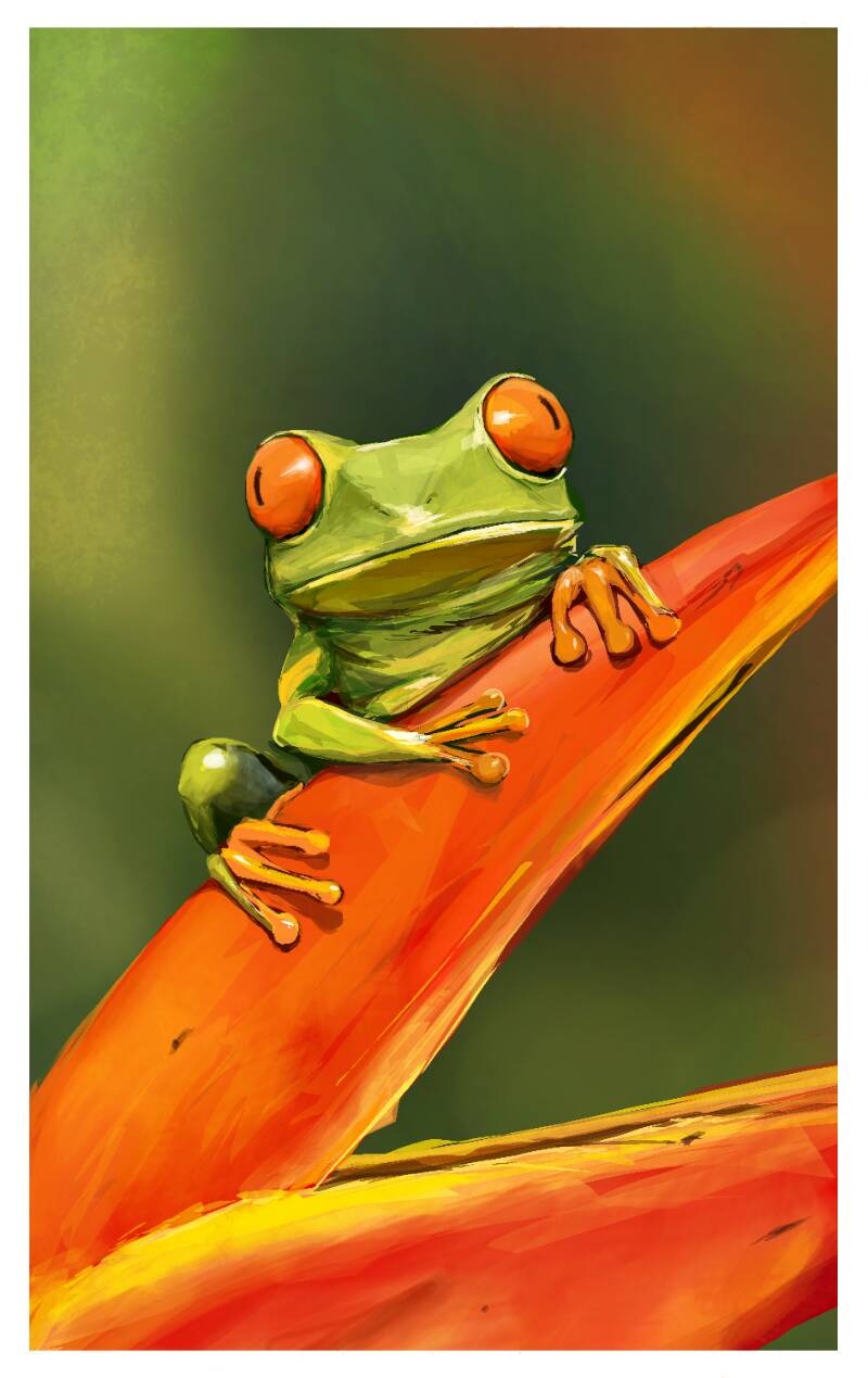 amphibian by acchan (Digital)