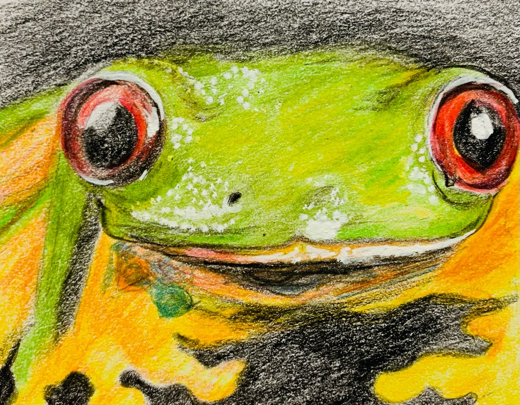 amphibian by fairlawnbj (Pencil, Colored pencil)
