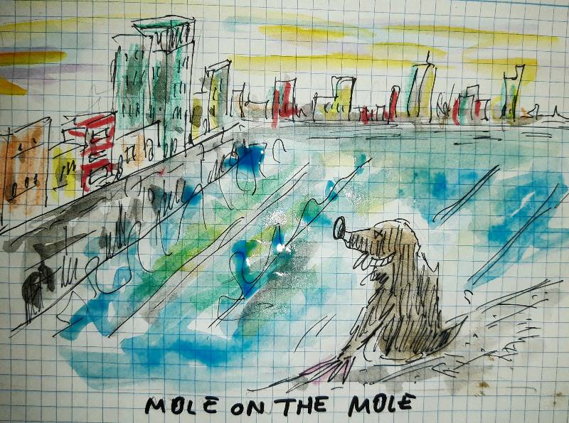 mole by Triki (Pencil, Watercolor, Pen, Ink, Markers)
