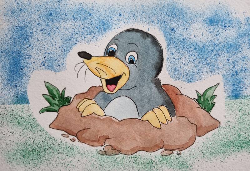 mole by Anke (Watercolor)