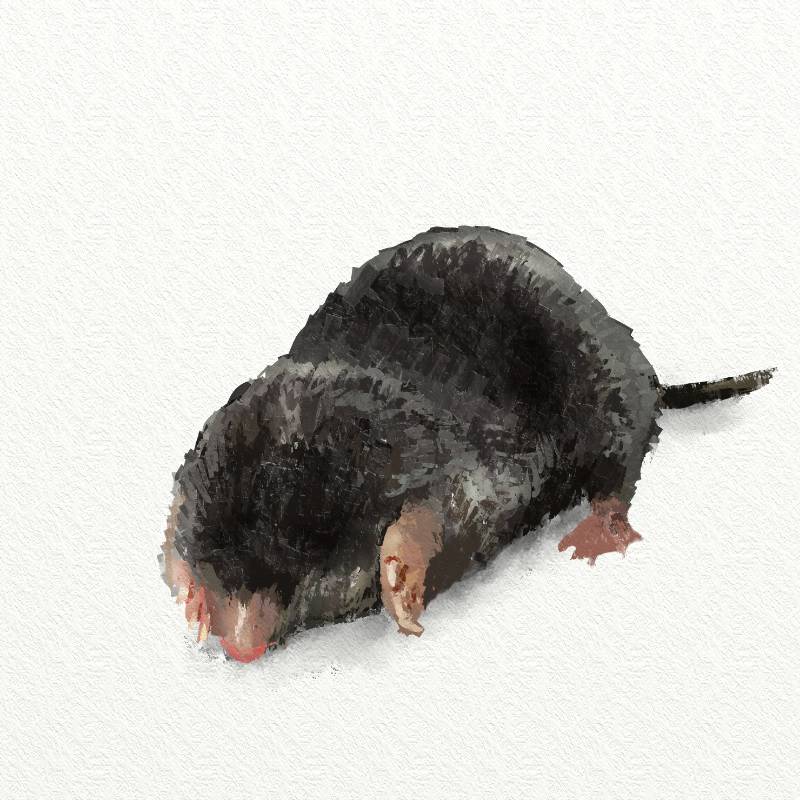 mole by Akai_VAC (Pen, Digital)
