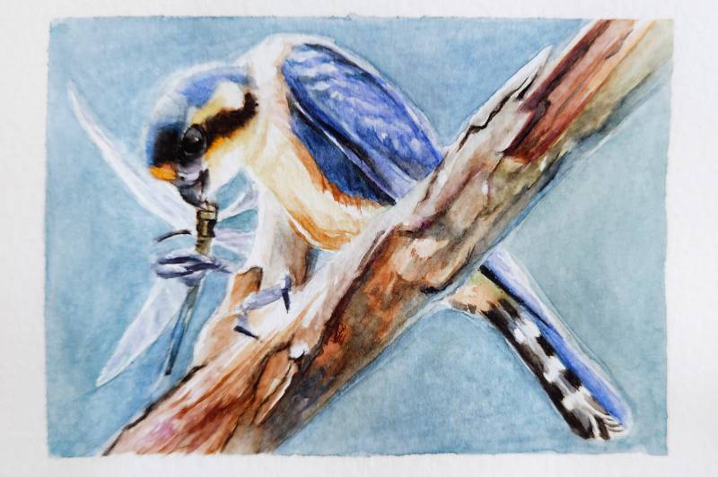prey by meidraws (Watercolor)