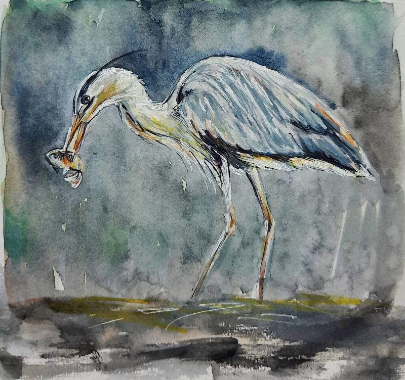 prey by Niru (Watercolor, Pen)