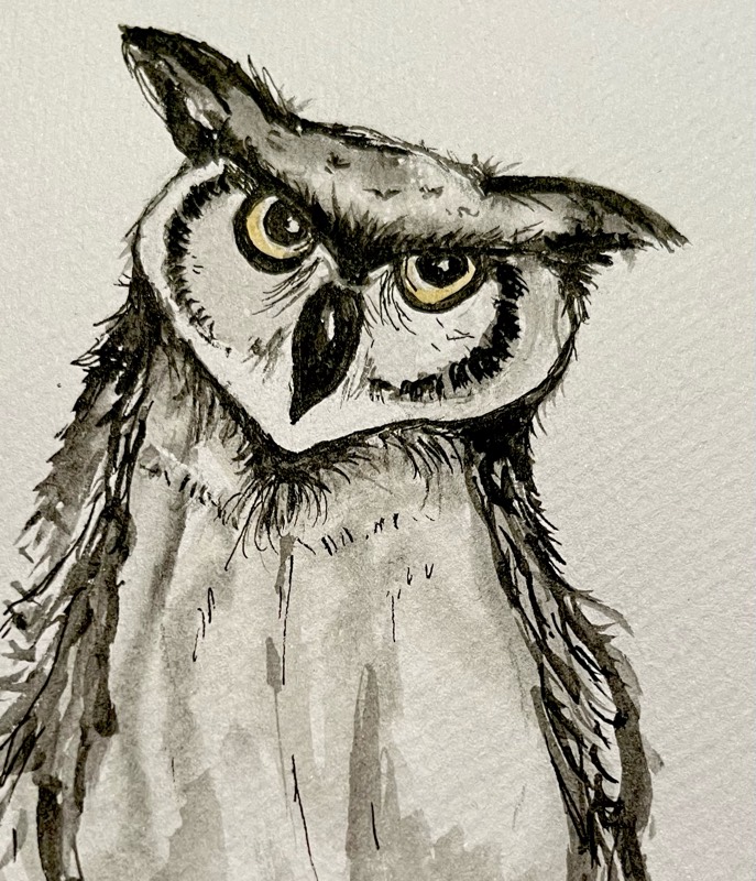 prey by JodiB (Watercolor, Ink)