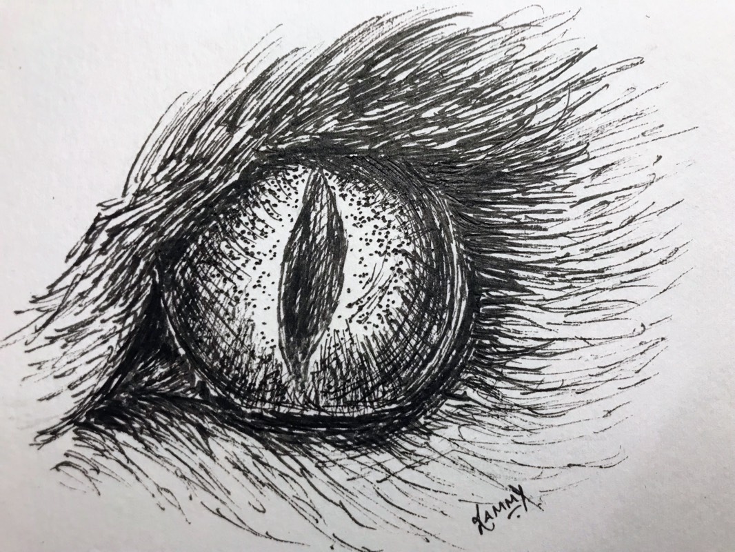 prey by RammyArtworks (Pen, Ink)