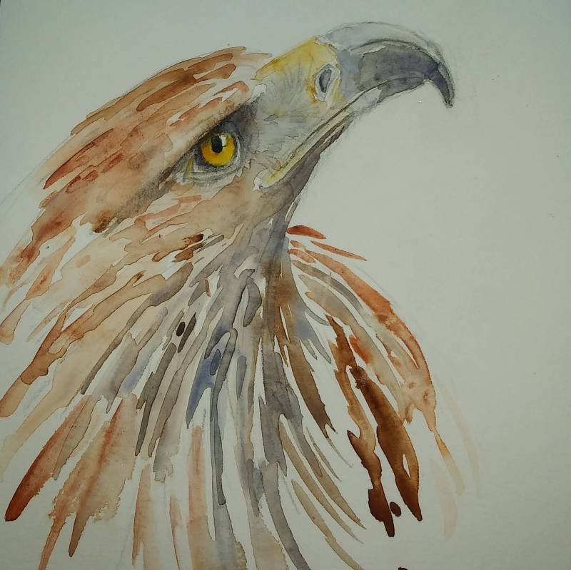 prey by Carolann (Pencil, Watercolor)