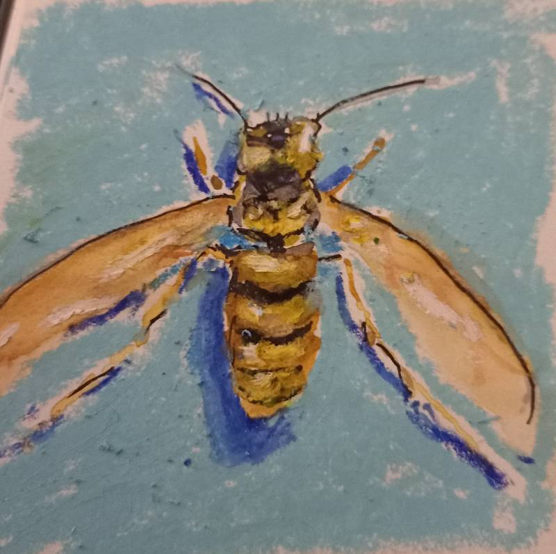 wasp by douze (Oil pastel)