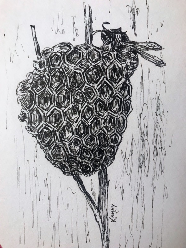 wasp by RammyArtworks (Pen, Ink)