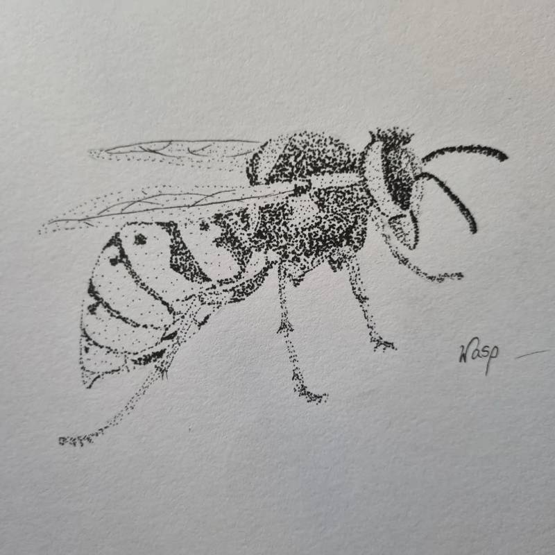 wasp by Jade_S (Pen)