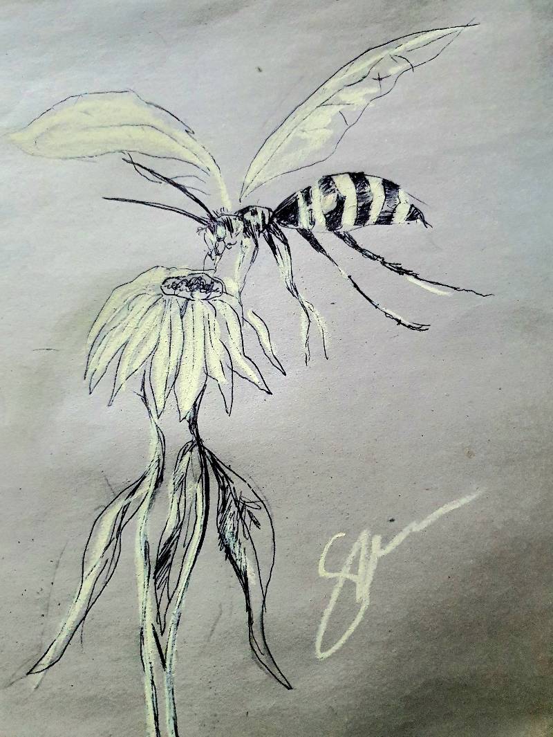 wasp by Sags1 (Pen, Soft pastel)