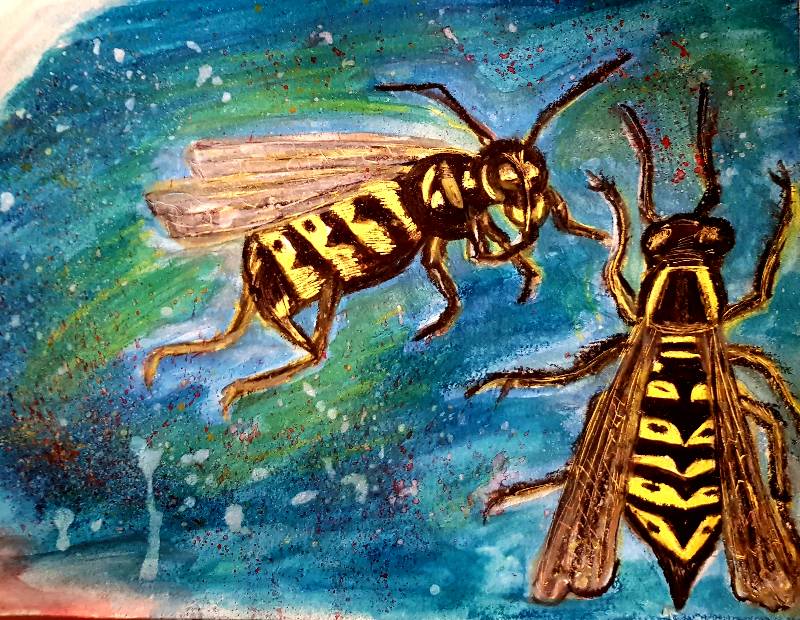 wasp by Elklem82 (Soft pastel, Watercolor)