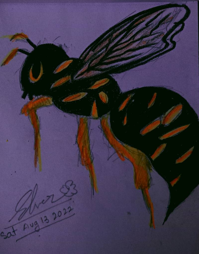 wasp by Elver (Pencil, Oil pastel, Soft pastel)