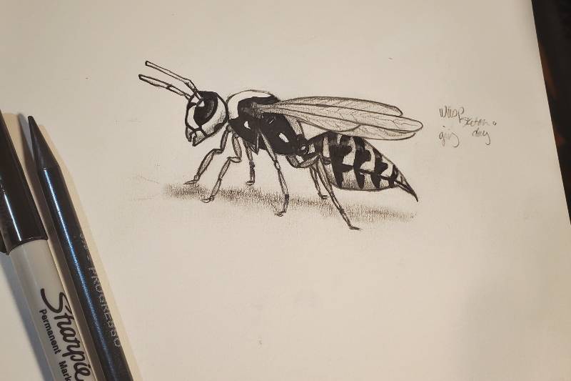 wasp by julesr7 (Pen, Charcoal, Markers, Pencil)