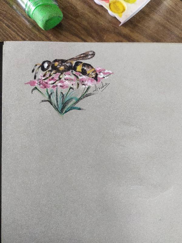 wasp by Amishachoudharylabala (Pencil, Watercolor)
