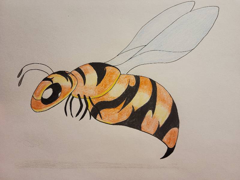 wasp by sammie2toes (Pencil, Colored pencil, Pen)