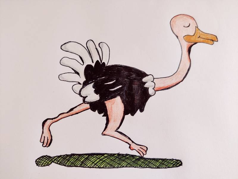 ostrich by Membrant (Ink, Colored pencil)
