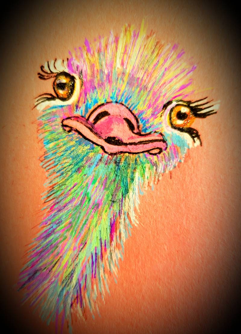 ostrich by MBear (Pencil, Ink, Charcoal, Oil pastel)