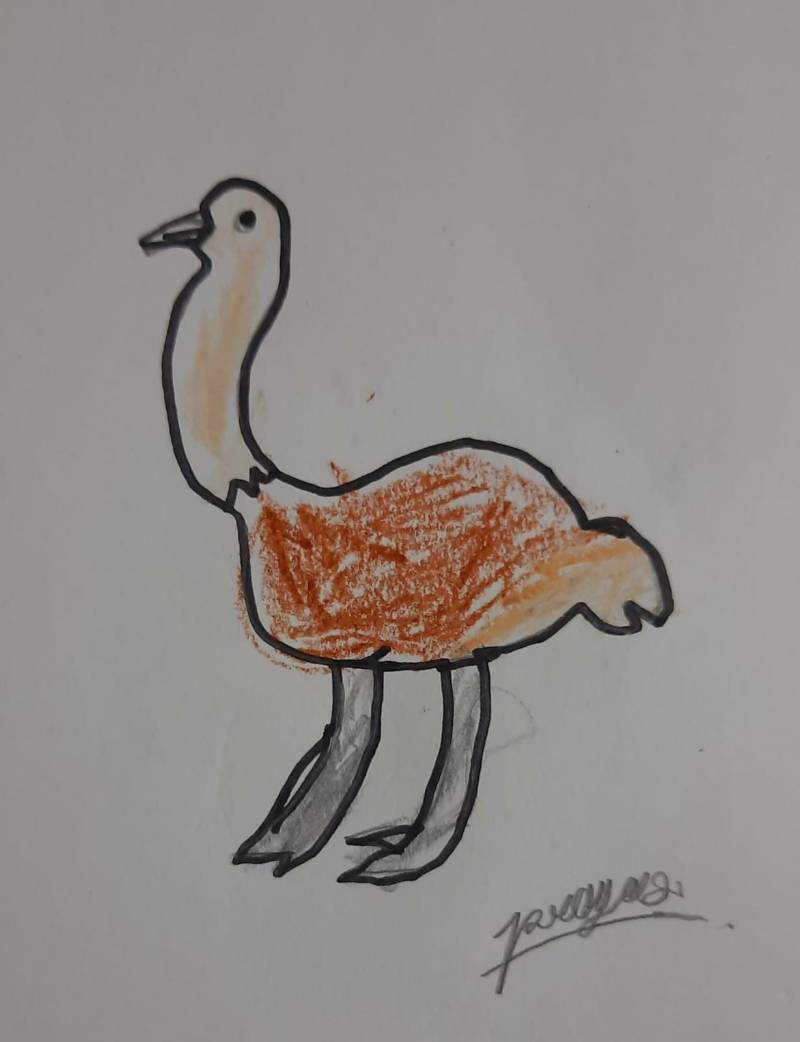 ostrich by Mngnart (Markers, Oil pastel)