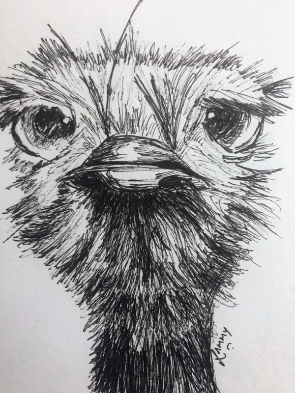 ostrich by RammyArtworks (Pen, Ink)