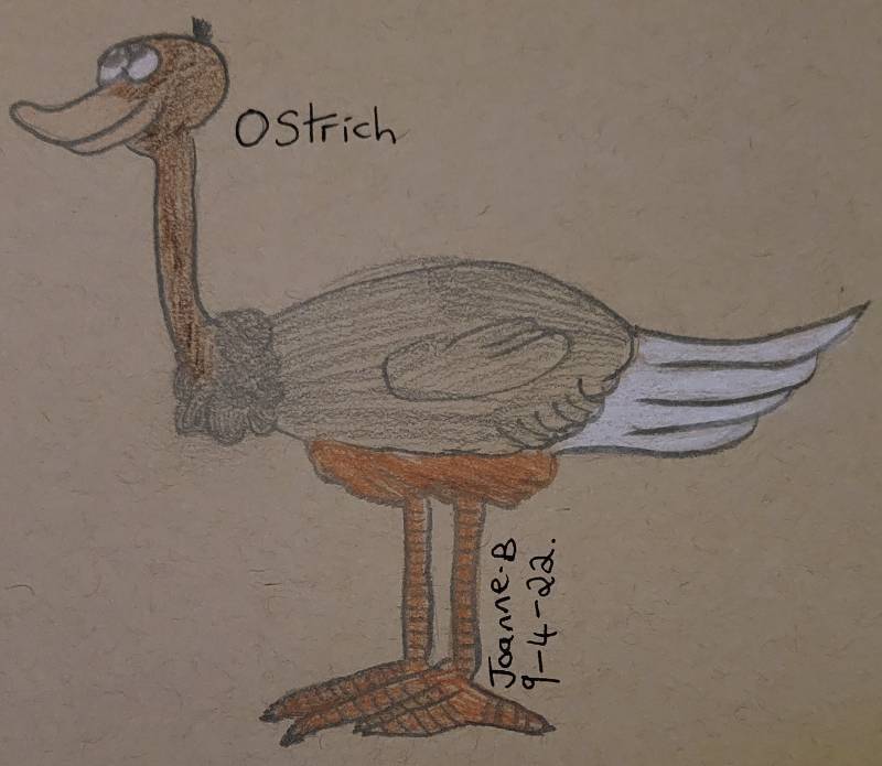 ostrich by WolfMoon74 (Pencil, Soft pastel)